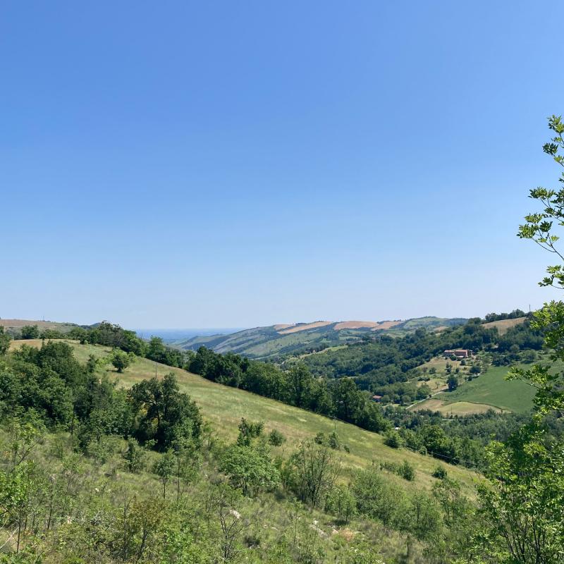 Fa levito la vista della pianura