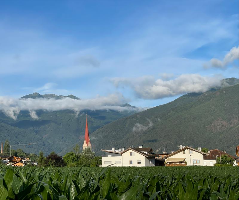 Fotosegnalazione di Naz sciaves