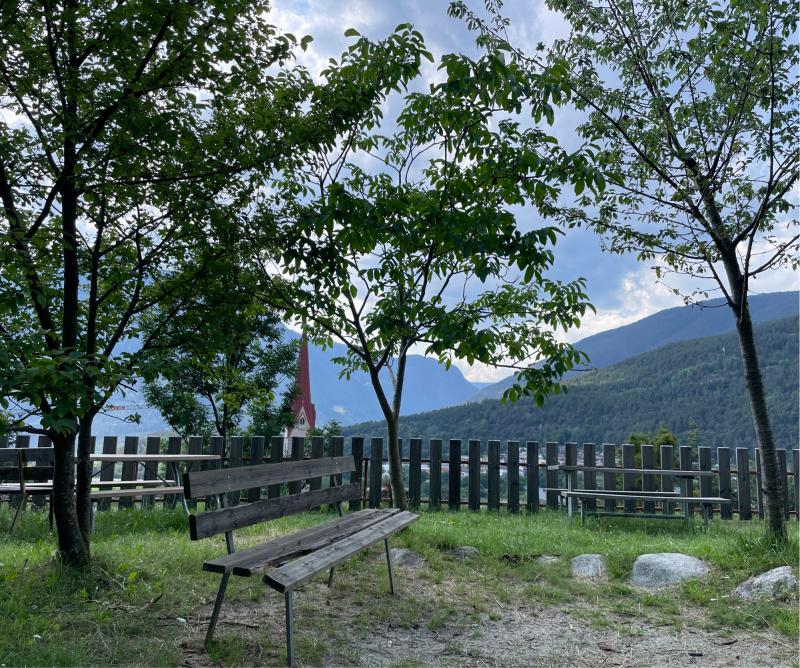 Fotosegnalazione di Naz sciaves