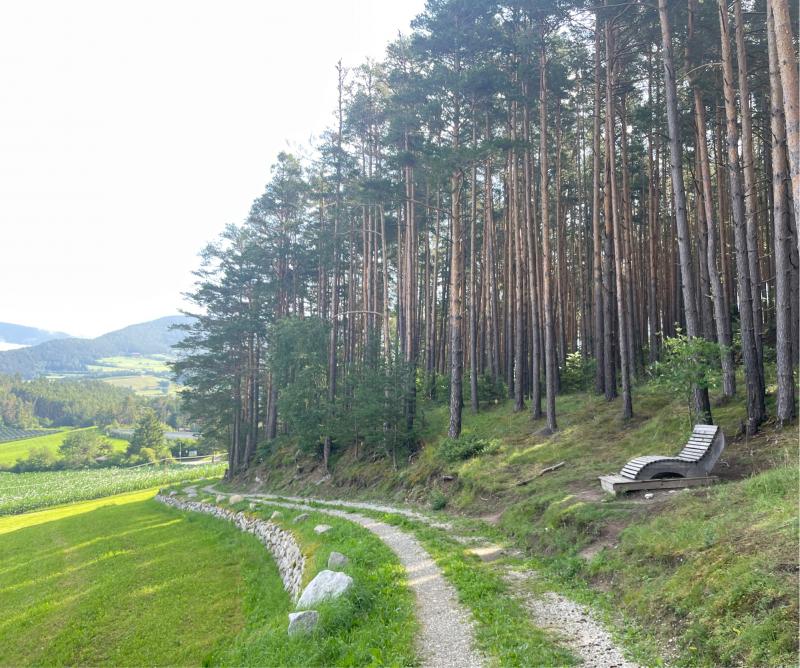 Fotosegnalazione di Naz sciaves