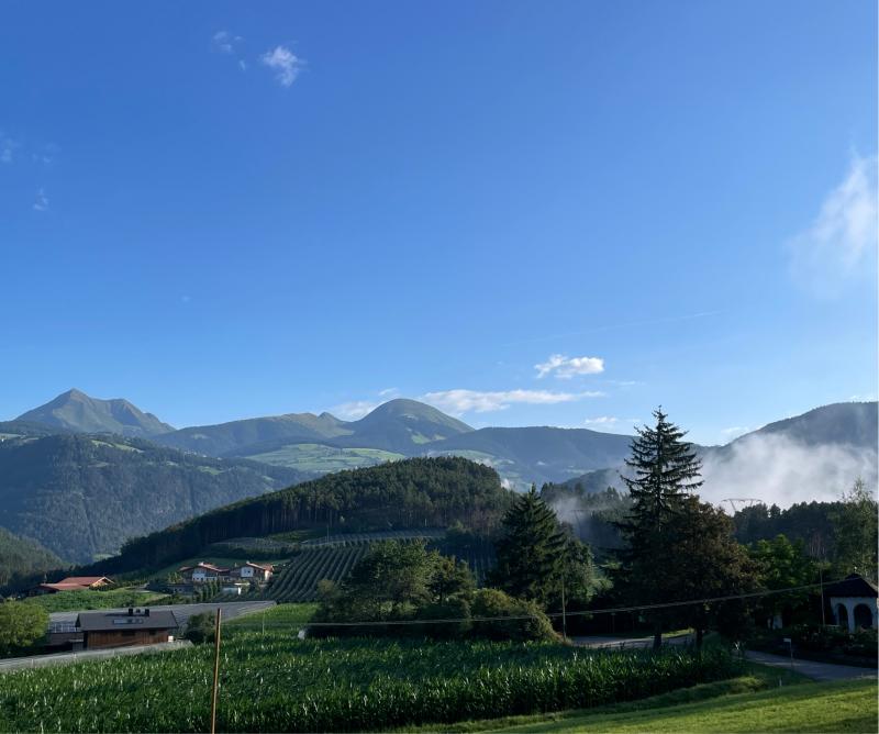 Fotosegnalazione di Naz sciaves