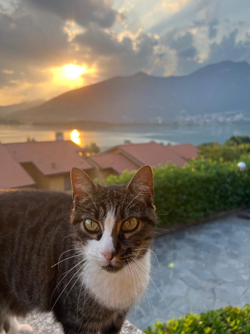 Fotosegnalazione di Galbiate