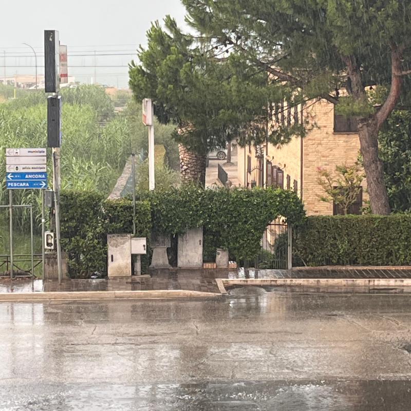 Fotosegnalazione di Marina faleriense