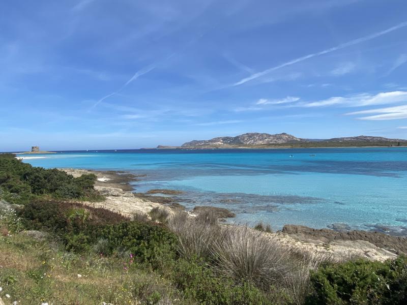 Stintino capo falcone