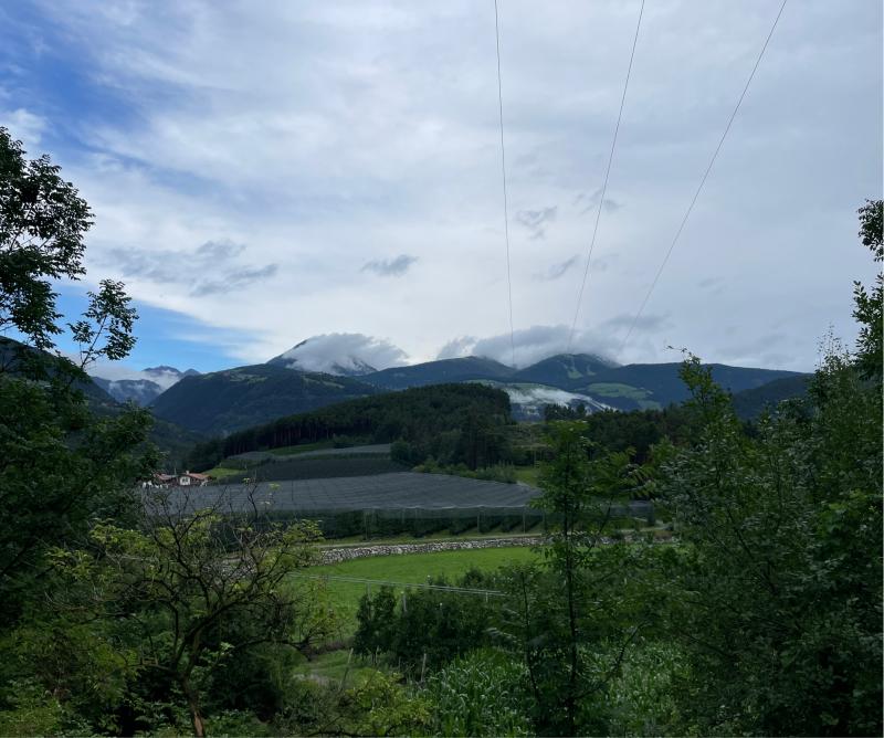 Fotosegnalazione di Naz sciaves