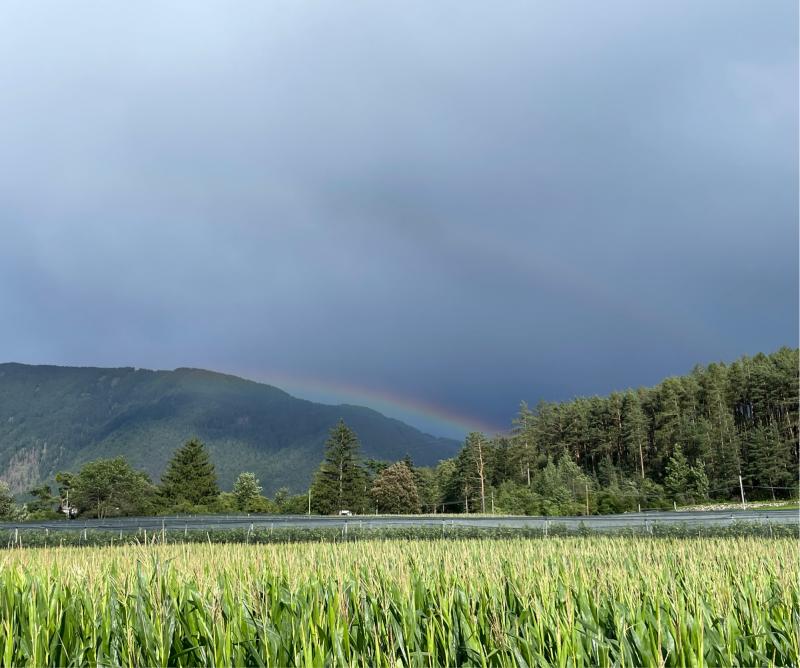 Fotosegnalazione di Naz sciaves
