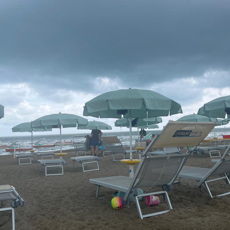 Fotosegnalazione di Lignano pineta