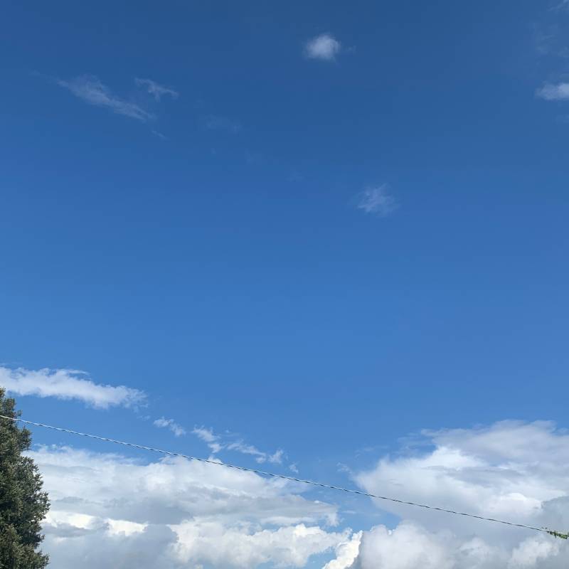 Fotosegnalazione di Bassano romano