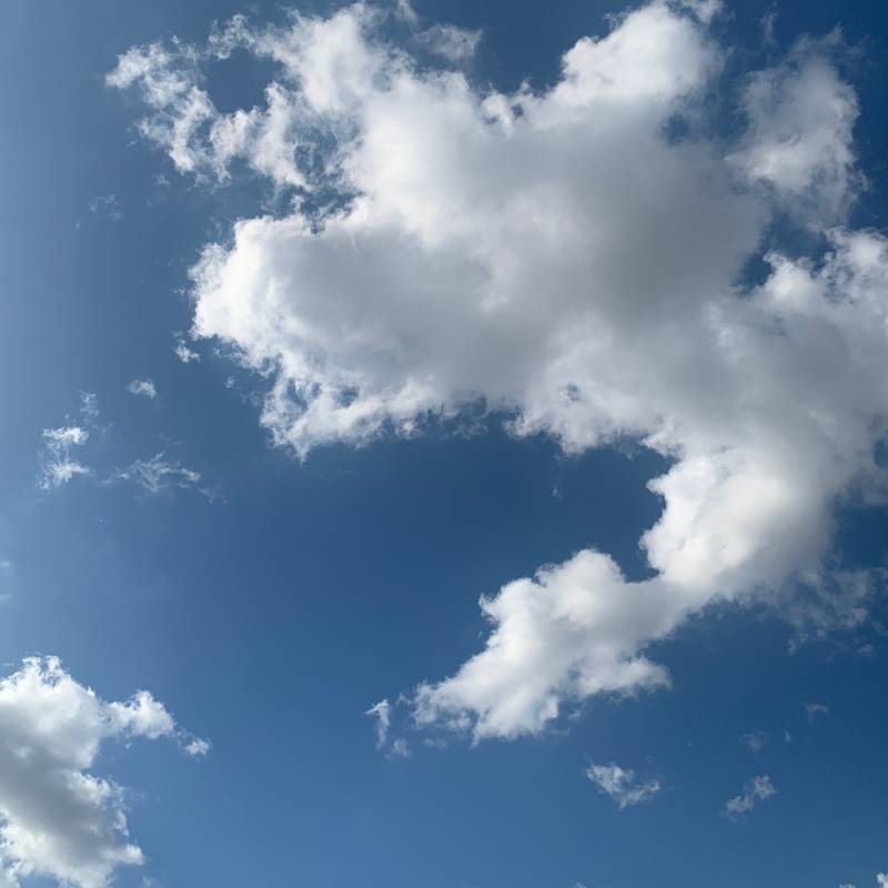 Fotosegnalazione di Parabita
