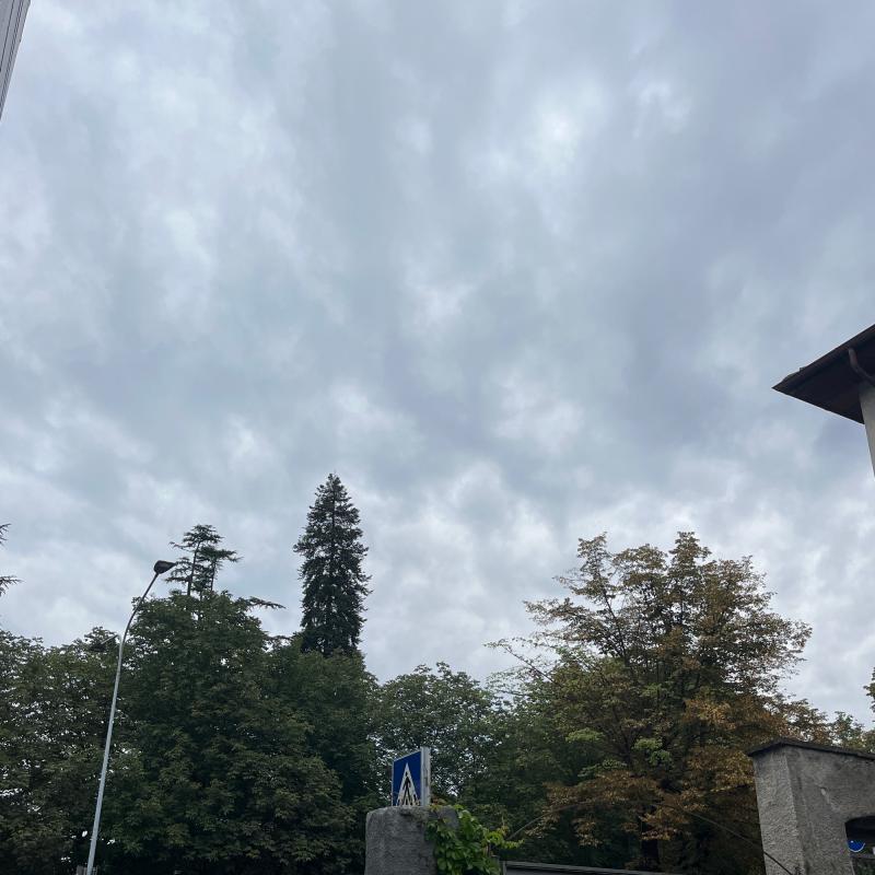 Fotosegnalazione di Pergine valsugana