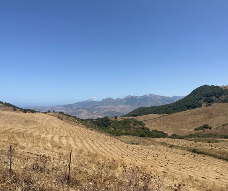 Fotosegnalazione di Montemaggiore belsito