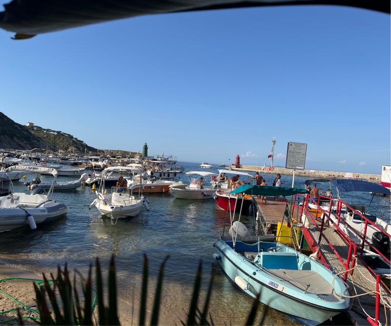 Fotosegnalazione di Giglio porto