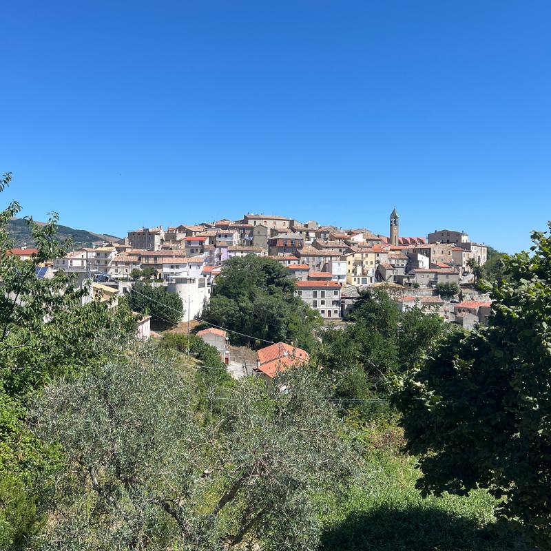 Giornata fantastica