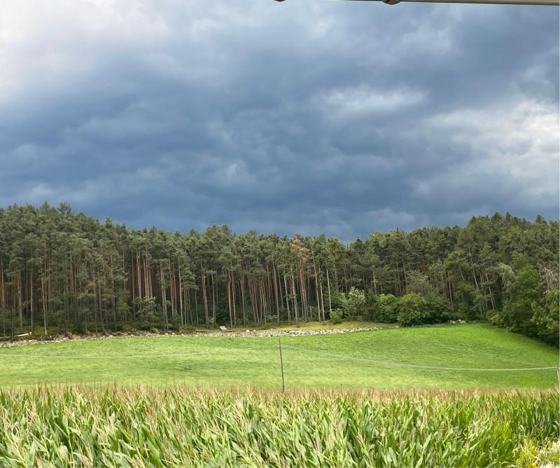 Fotosegnalazione di Naz sciaves