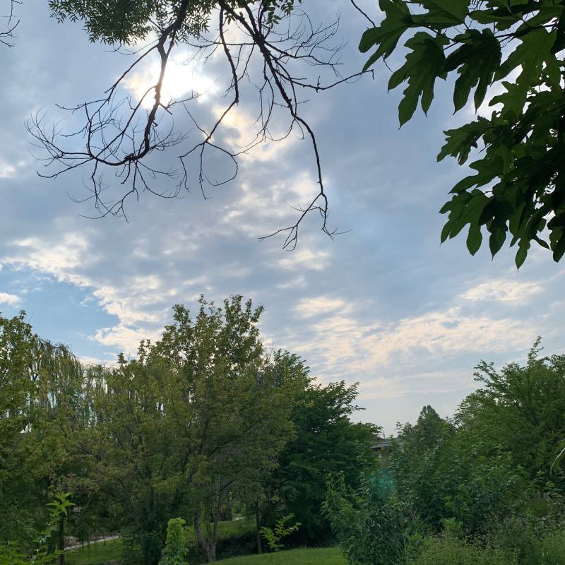 Fotosegnalazione di Bardolino