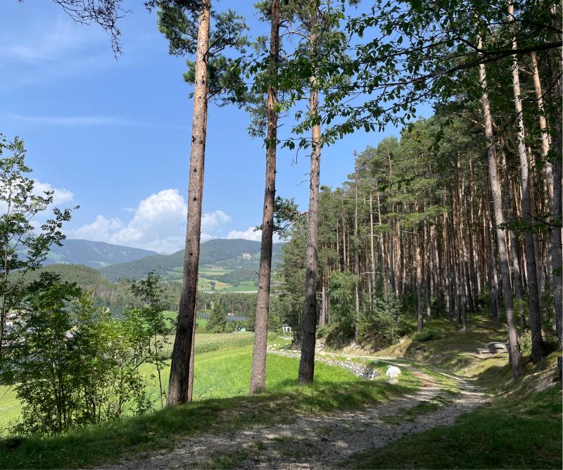 Fotosegnalazione di Naz sciaves