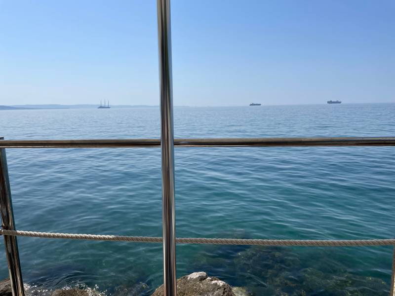 Fotosegnalazione di Trieste periferia nord