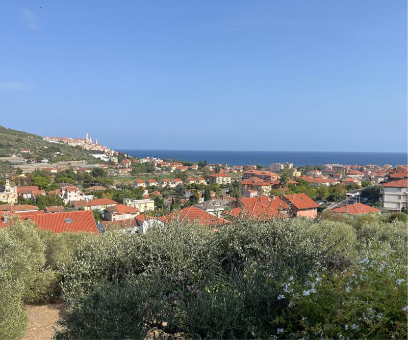 Fotosegnalazione di San bartolomeo al mare