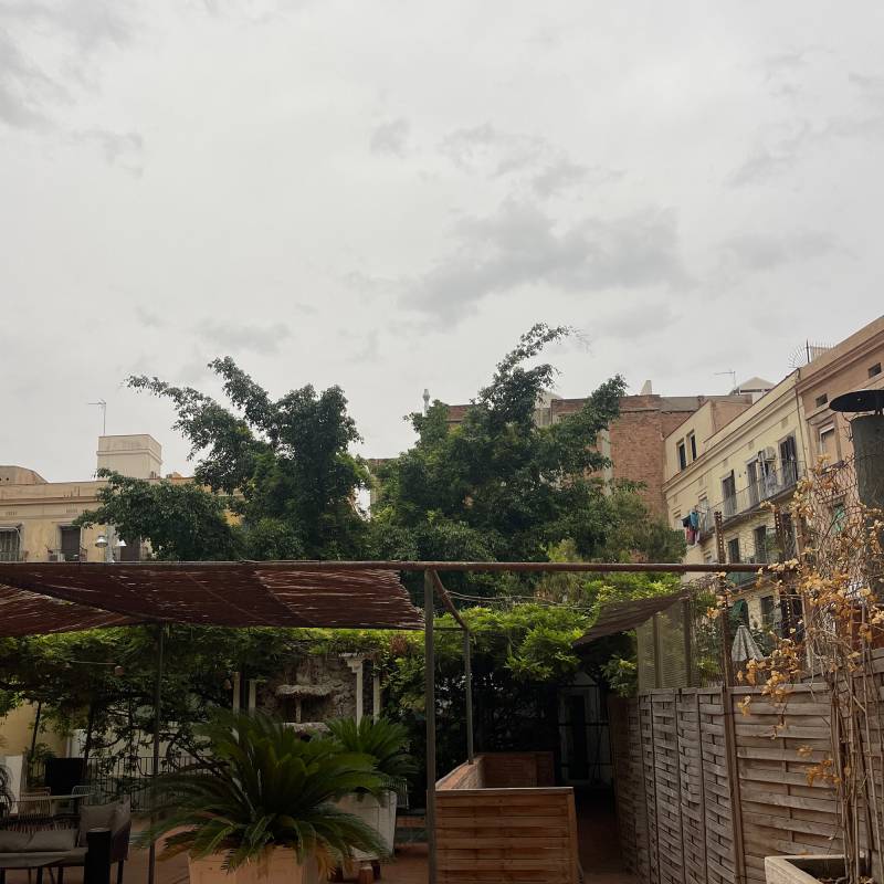 Fotosegnalazione di Ciutat vella