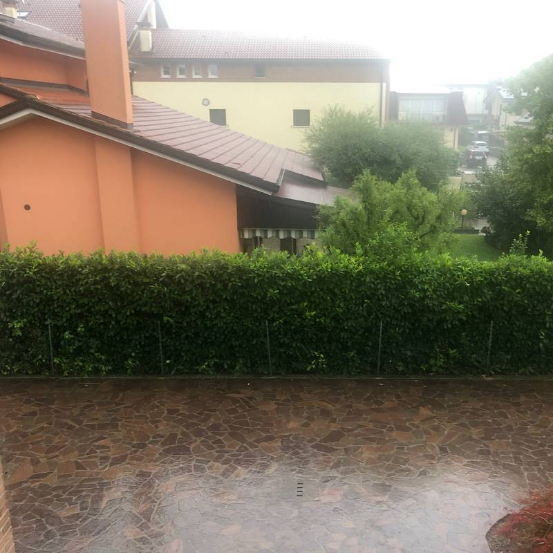 Fotosegnalazione di Pionca