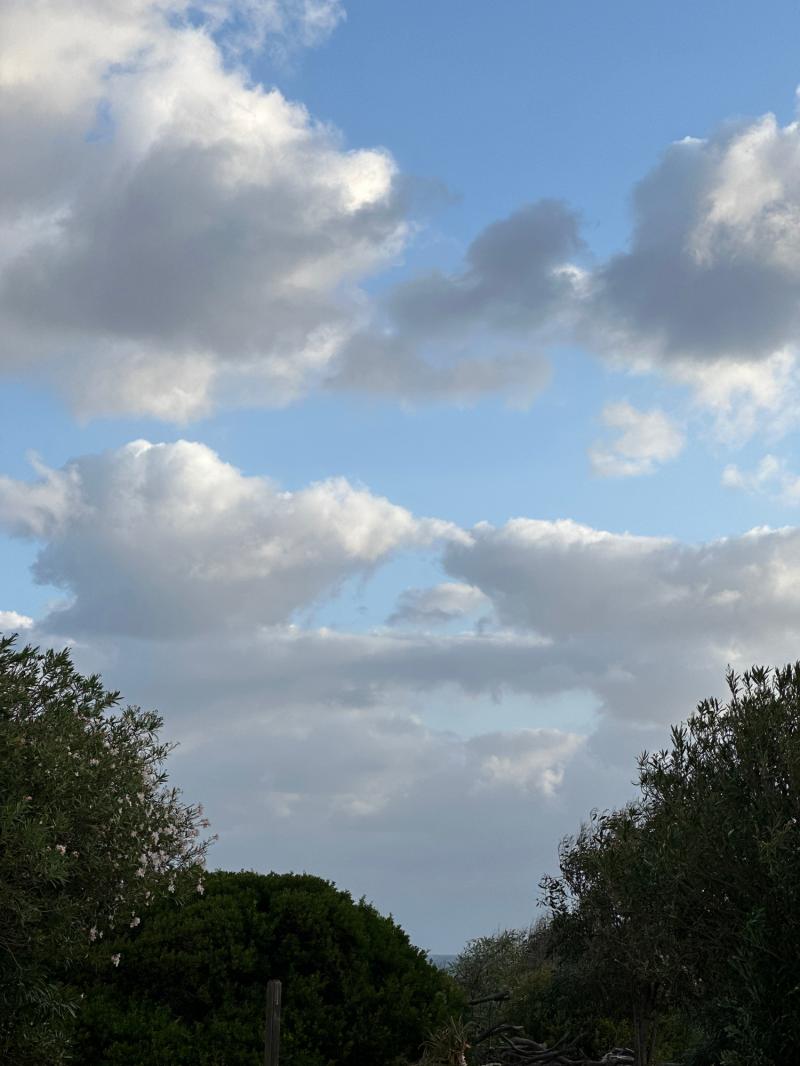 Fotosegnalazione di Castelsardo