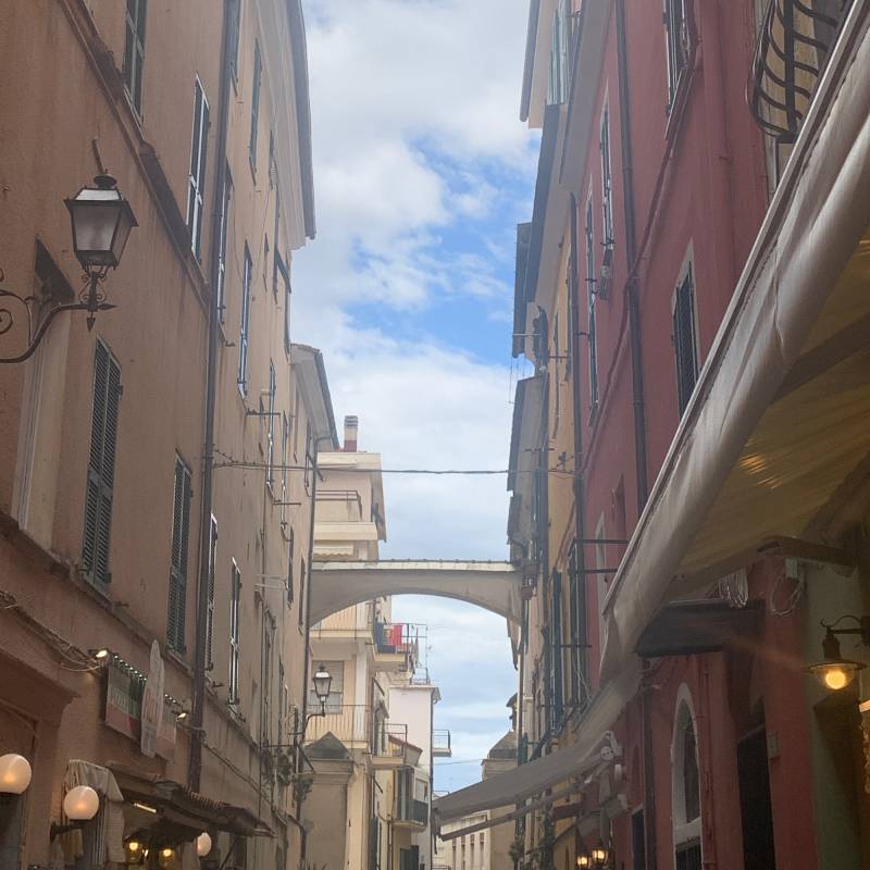 Budello pietra ligure