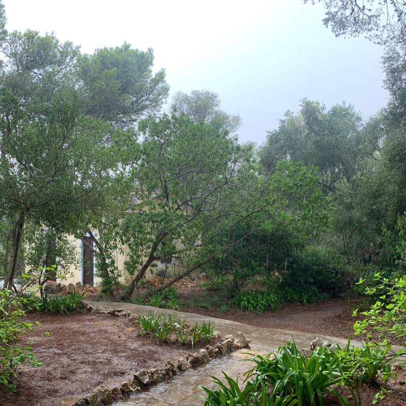 Fotosegnalazione di Porto cristo