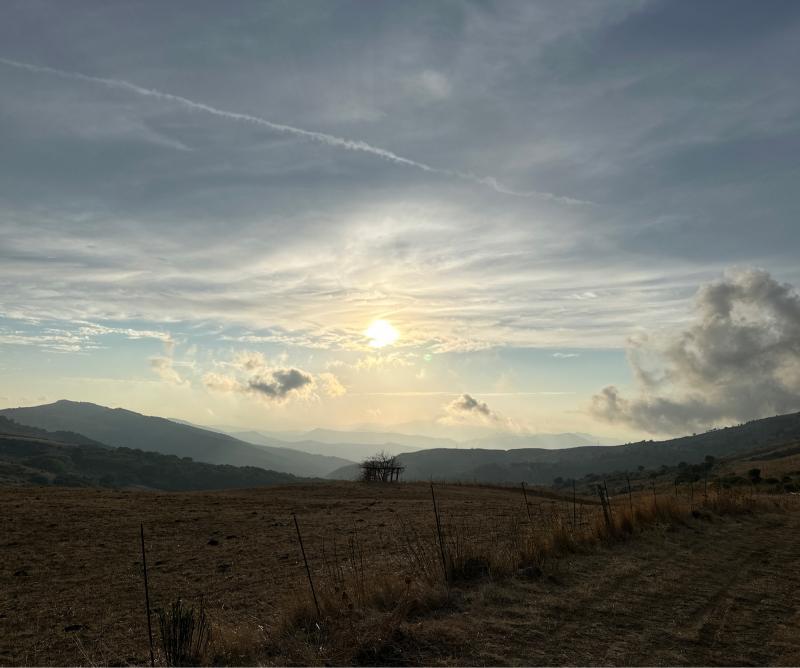 Fotosegnalazione di Montemaggiore belsito
