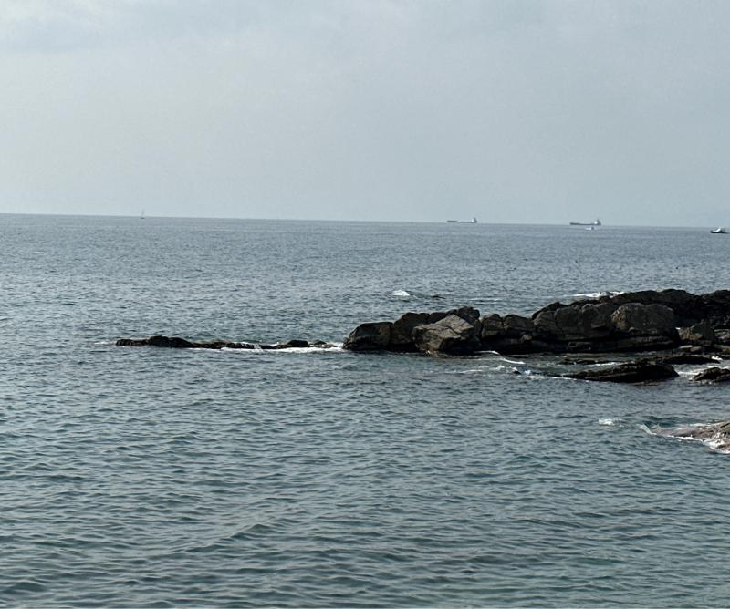 Fotosegnalazione di Genova levante litorale