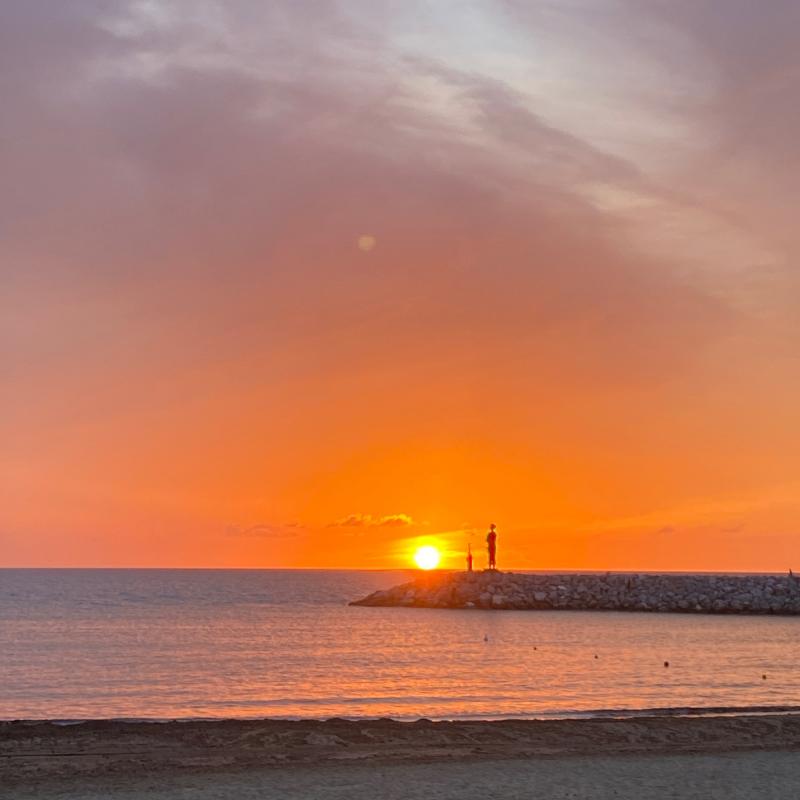 Fotosegnalazione di San vincenzo