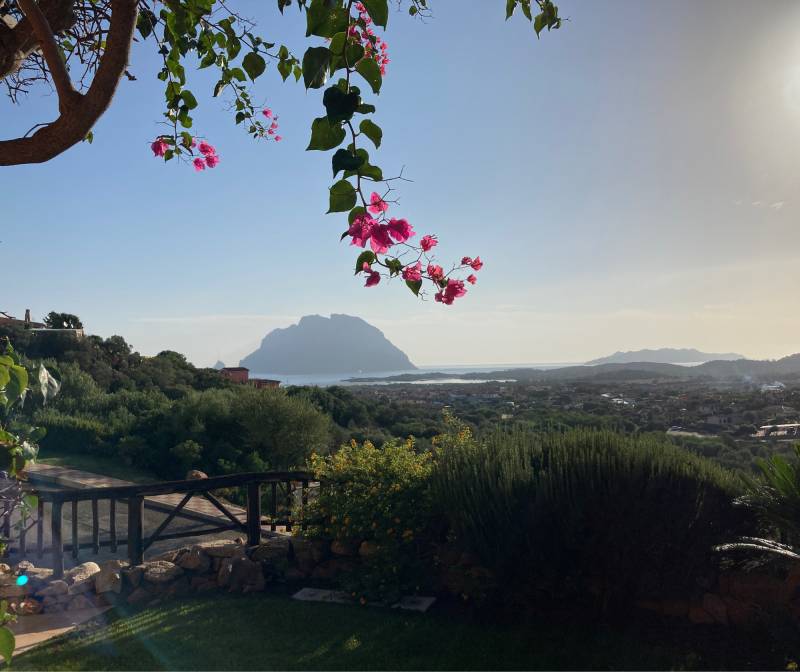 Fotosegnalazione di Loiri porto san paolo