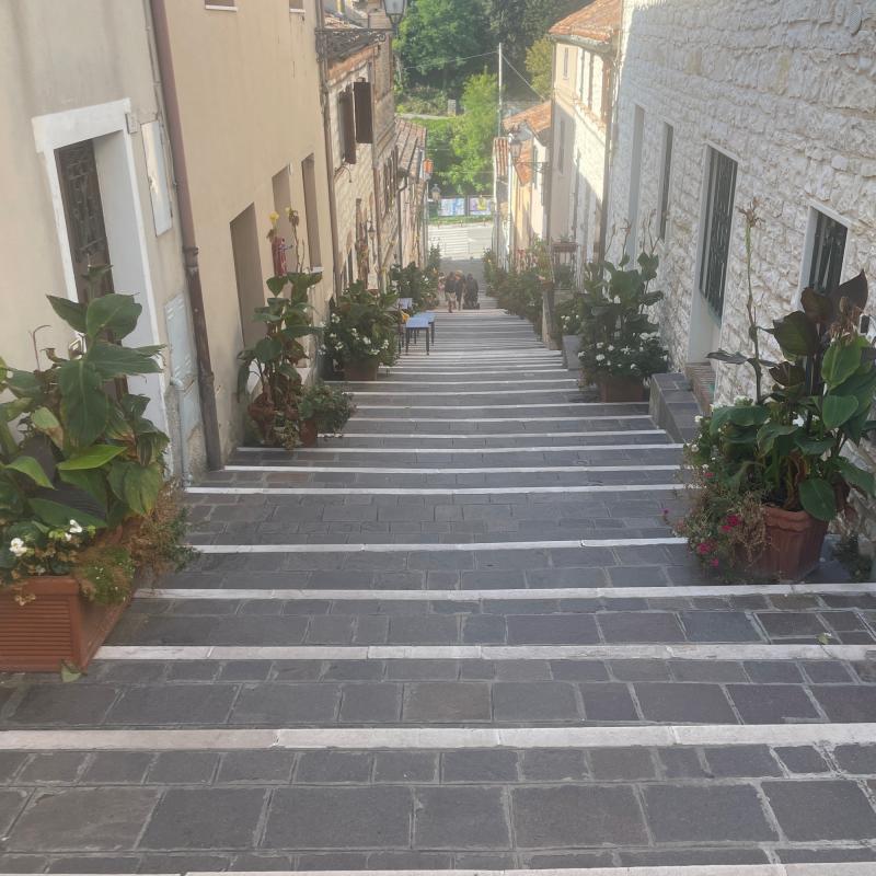 Fotosegnalazione di Numana