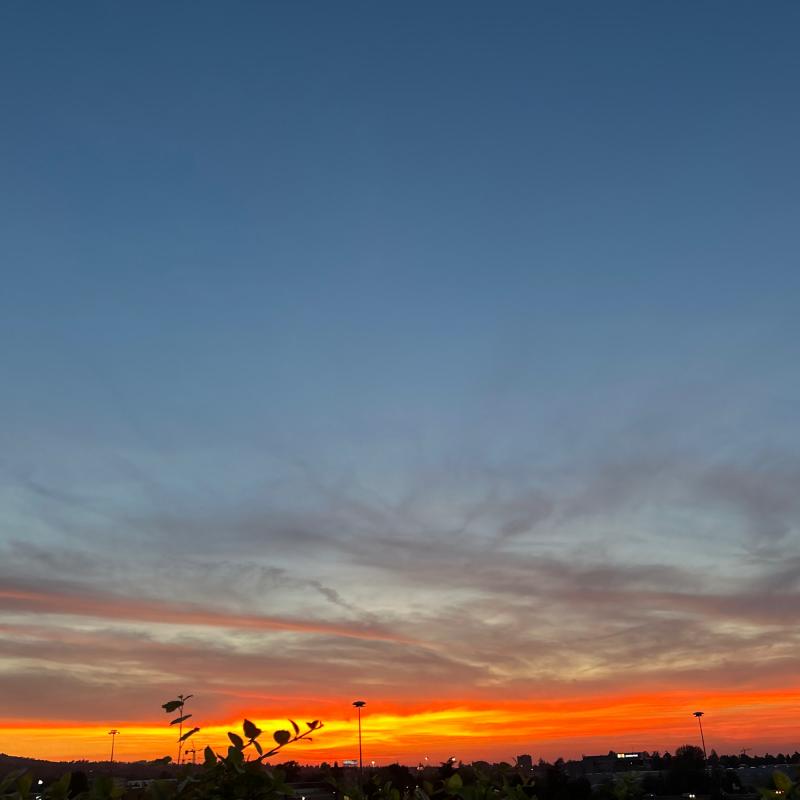 Fotosegnalazione di Casalecchio di reno