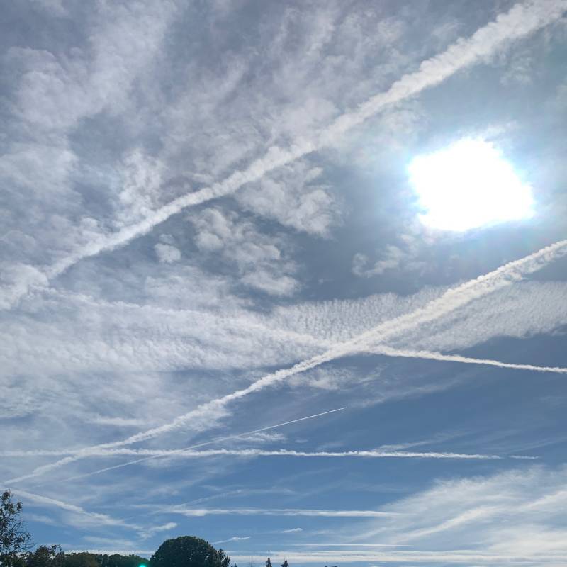 Fotosegnalazione di Gattico