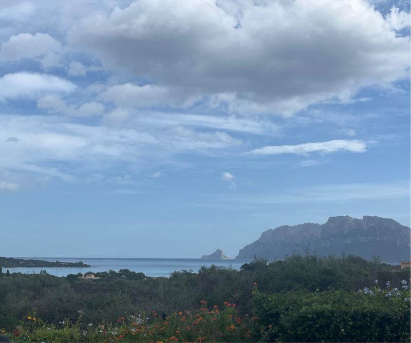 Fotosegnalazione di Olbia litorale sud