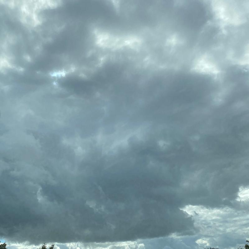 Fotosegnalazione di Arezzo colli aretini