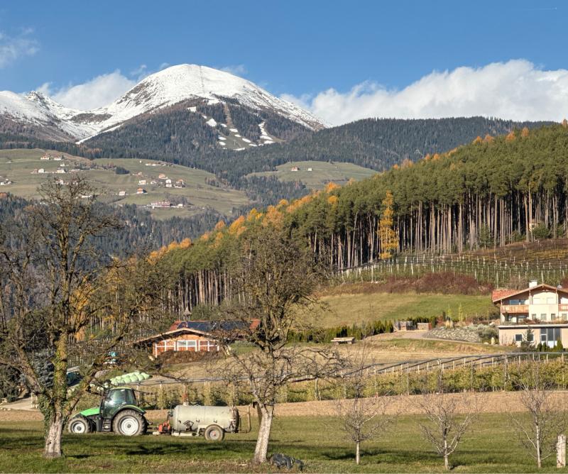 Fotosegnalazione di Naz sciaves