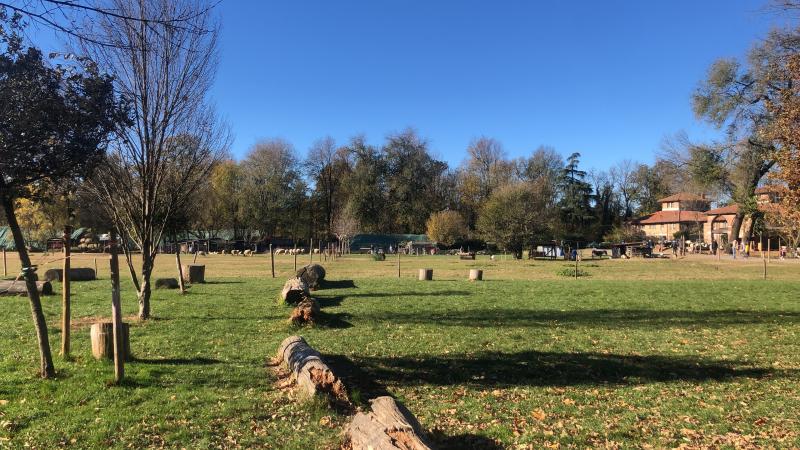 Parco di Monza