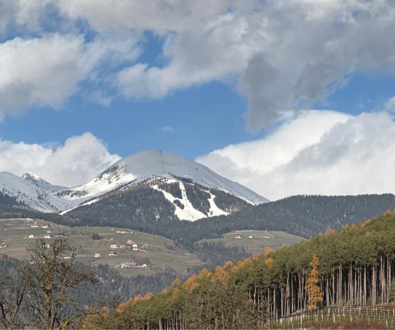 Fotosegnalazione di Naz sciaves