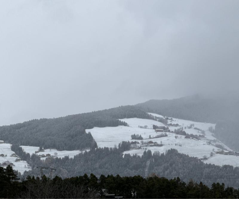 Fotosegnalazione di Naz sciaves
