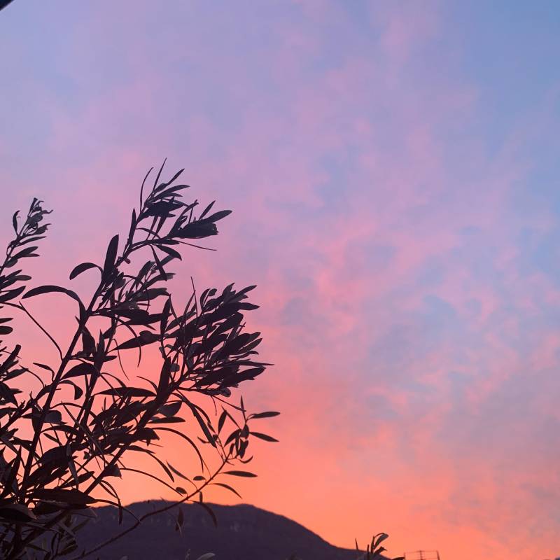 Fotosegnalazione di Trento centro
