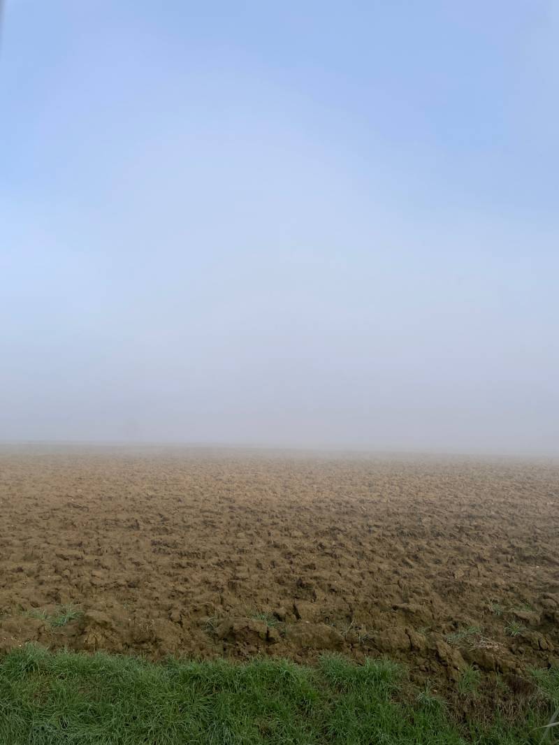 Fotosegnalazione di Nanto