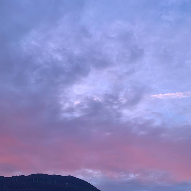 Fotosegnalazione di Trento centro