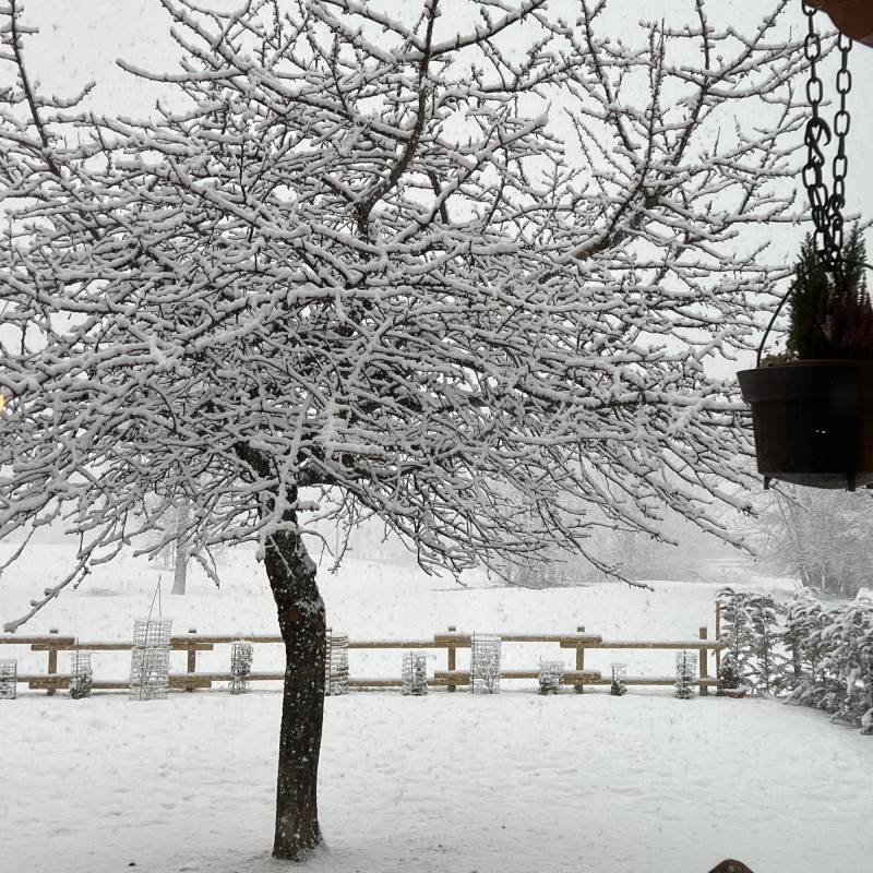 Nevicata ad Entreves