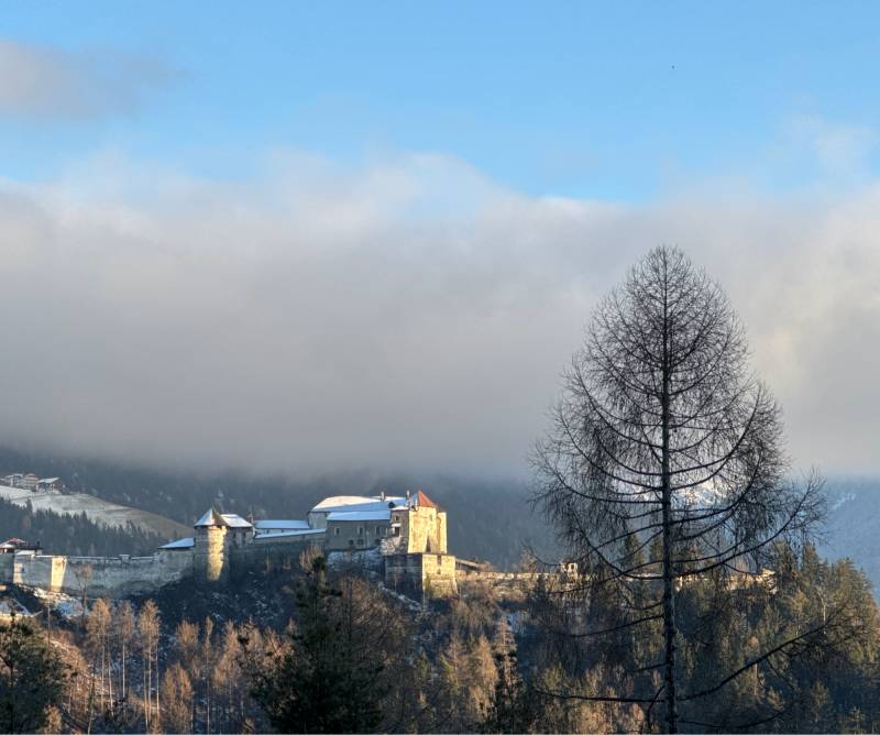 Fotosegnalazione di Naz sciaves
