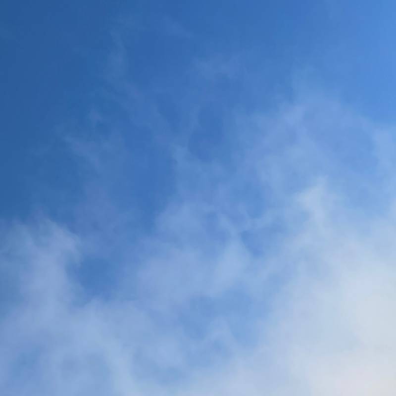 Fotosegnalazione di Classe