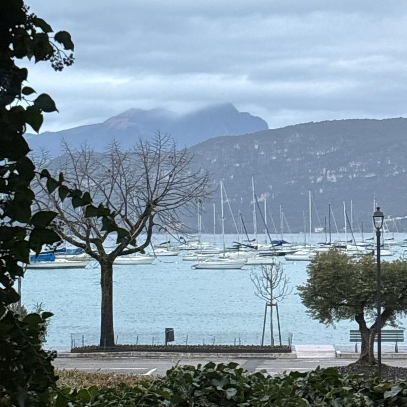 Fotosegnalazione di Bardolino