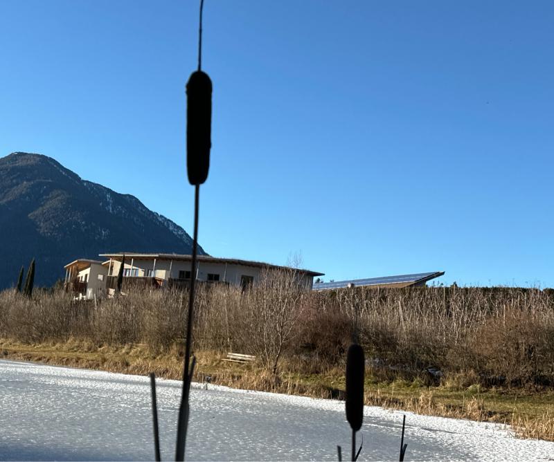Fotosegnalazione di Naz sciaves