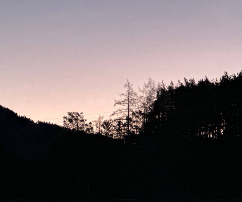 Fotosegnalazione di Naz sciaves