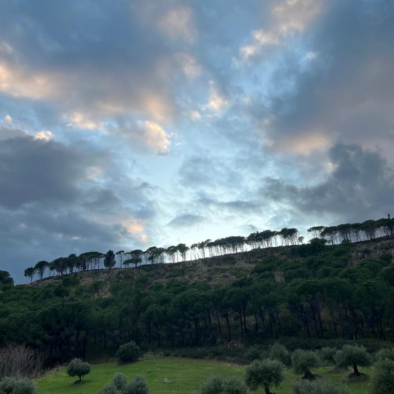Fotosegnalazione di Castrovillari
